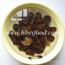 Organic Natural Black Fungus with Good Price